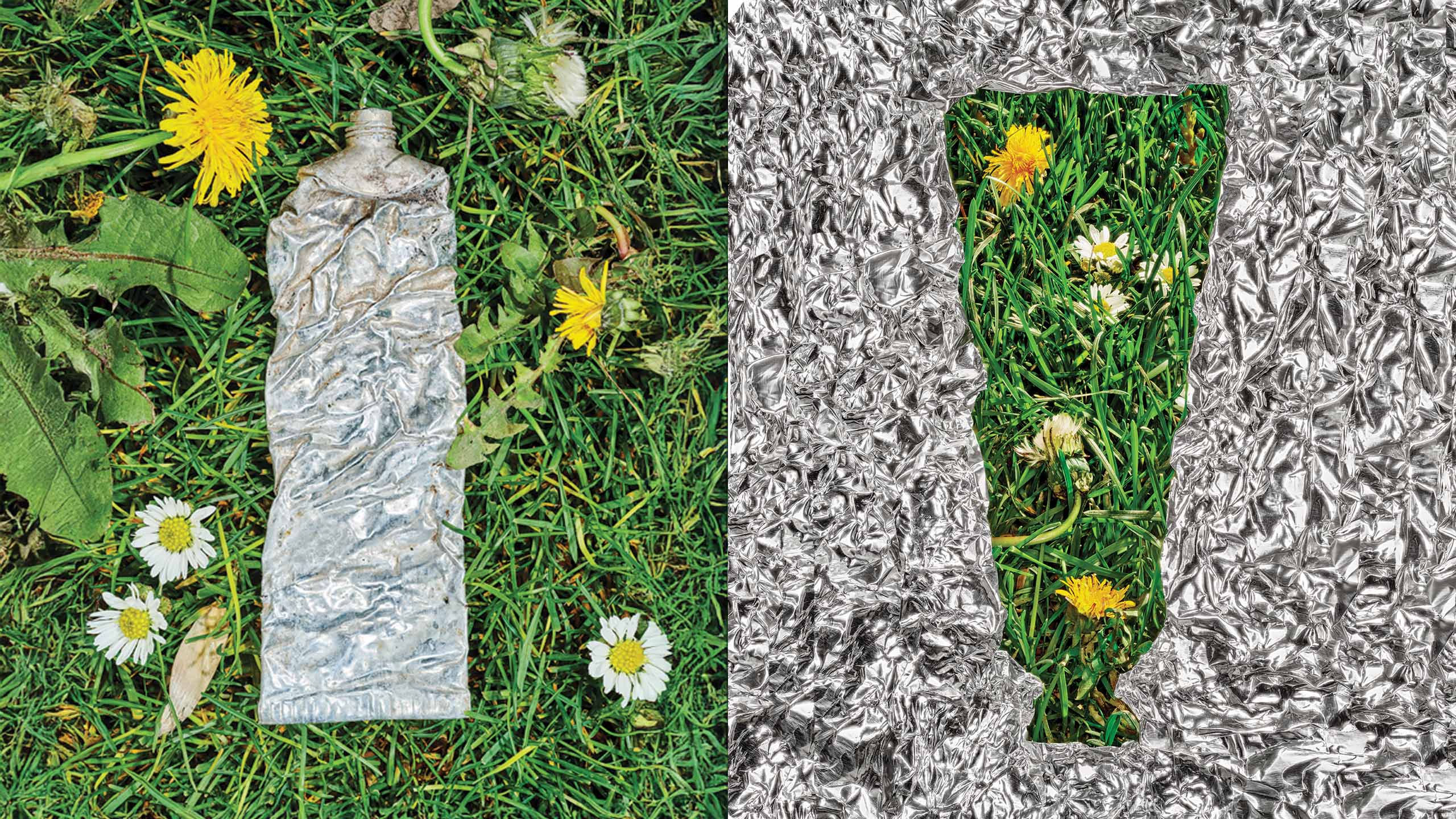 3 Local Sustainable Brands Leading by Example