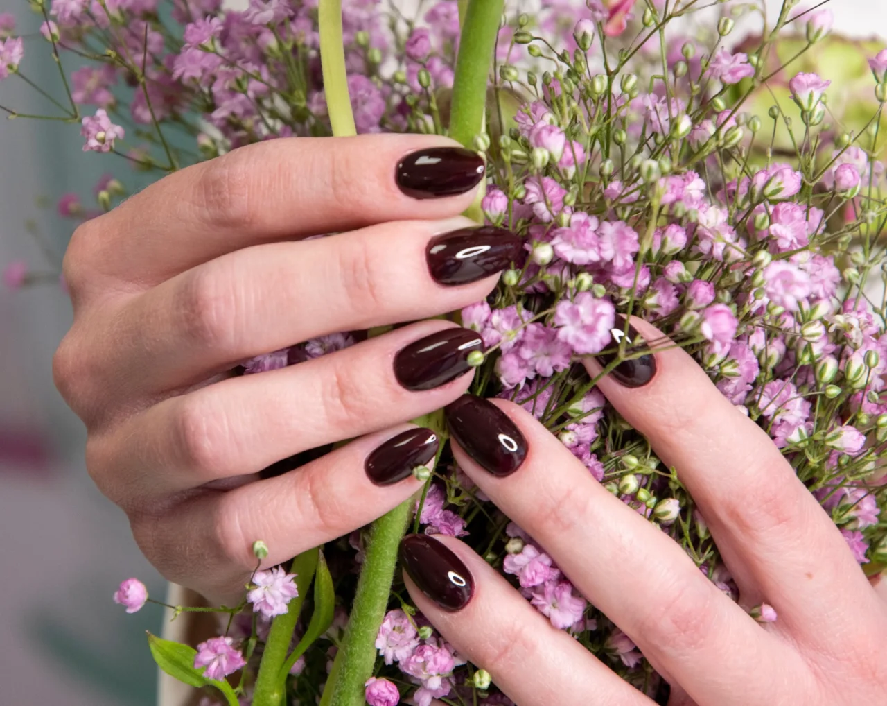 Close-up of a hand with dark burgundy nails holding pink baby's breath flowers.