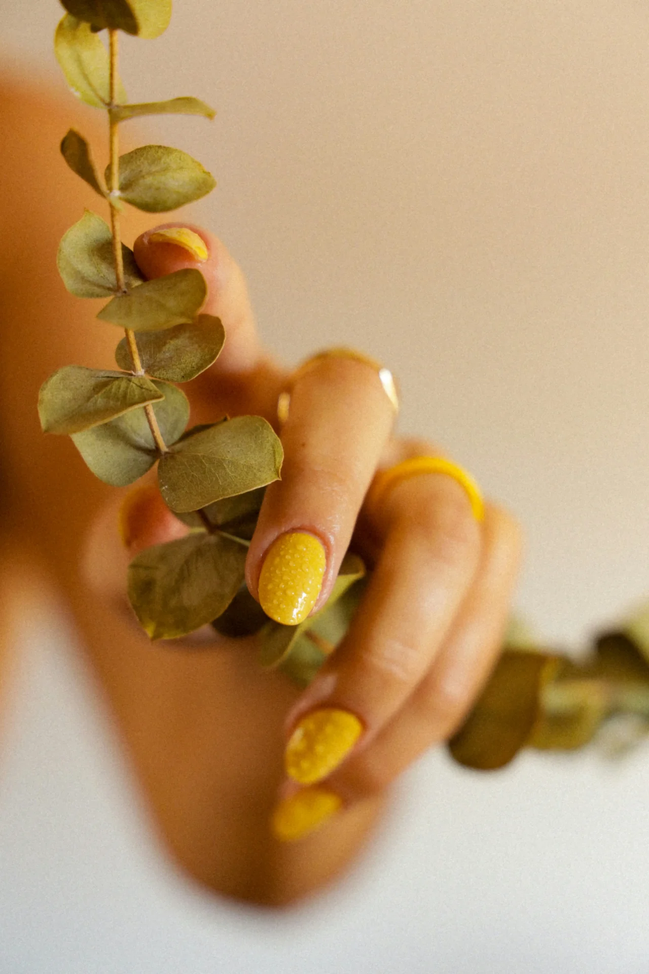 Close-up of a hand with yellow nails holding a eucalyptus stem with small green leaves against a pale background.