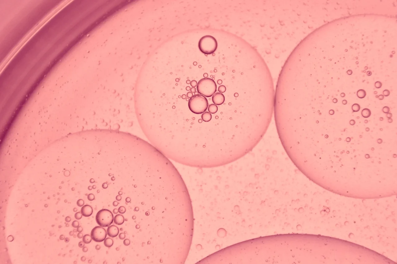 Close-up of pink liquid with numerous bubbles of varying sizes clustered in the center.